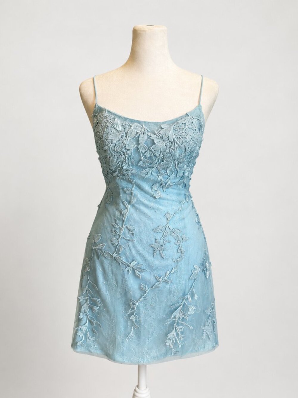Berlinnova Light Blue Floral Lace Embroidered Lace-Up Back Mini Dress | Size 4